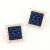 Square Royal Blue Gold Rimmed Stud Earrings